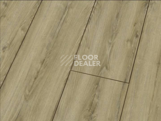 Ламинат Falquon Blue Line Wood 8mm D3545 WINZER OAK фото 1 | FLOORDEALER